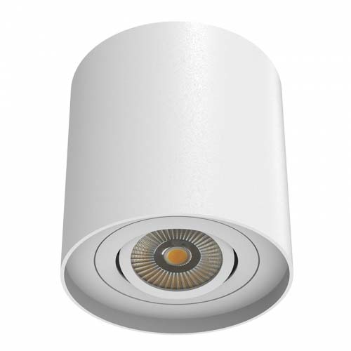 Surface Mounted Round Shape LED Downlight With 1 lamp