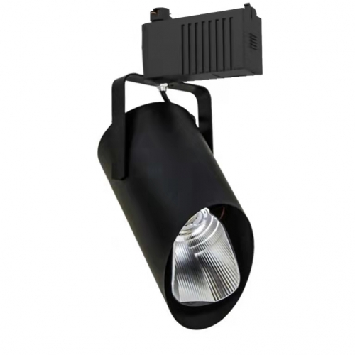 Low volt track light